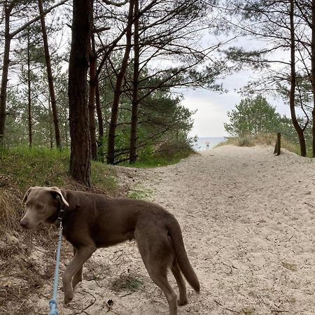 Reet Am Strand Mit Hund Karlshagen Exterior photo