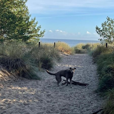 Reet Am Strand Mit Hund Karlshagen Exterior photo
