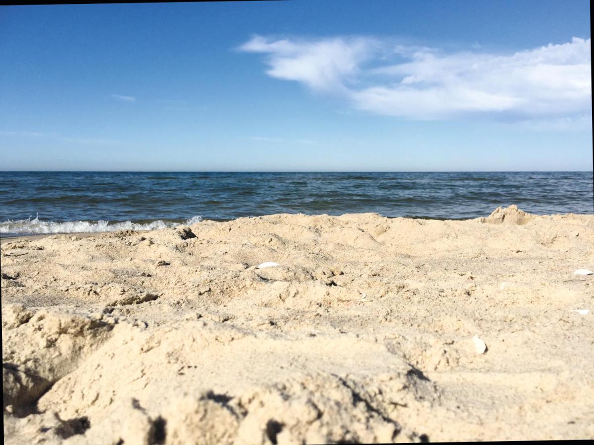 Reet Am Strand Mit Hund Karlshagen Exterior photo